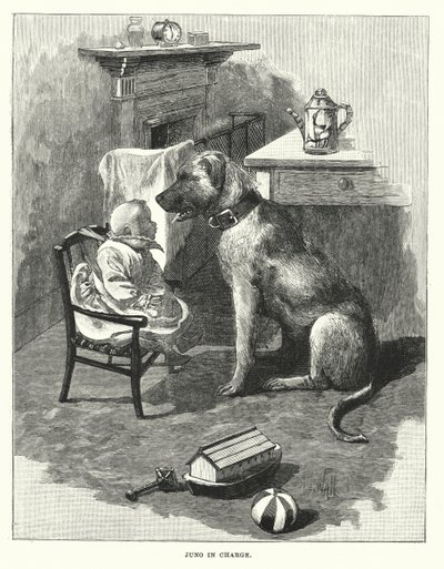  द्वारा अंग्रेजी स्कूल