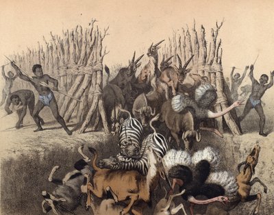 जानवरों को एक गड्ढे में चला रहा काफिर द्वारा अंग्रेजी स्कूल