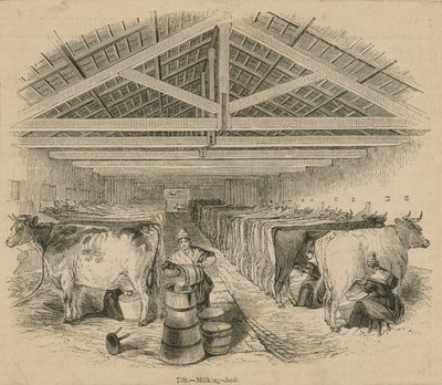 लेक्सॉक्स डेयरी फार्म, दिनांक 1841 जुलाई द्वारा अंग्रेजी स्कूल