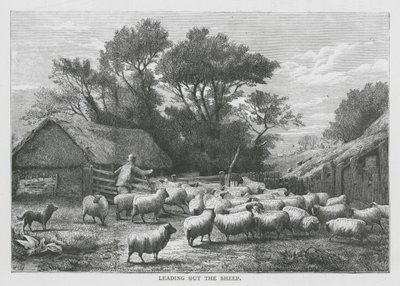  द्वारा अंग्रेजी स्कूल