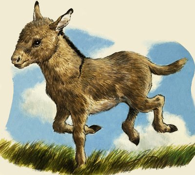 छोटा गधा द्वारा अंग्रेजी स्कूल