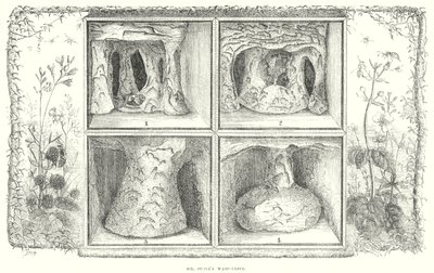 द्वारा अंग्रेजी स्कूल
