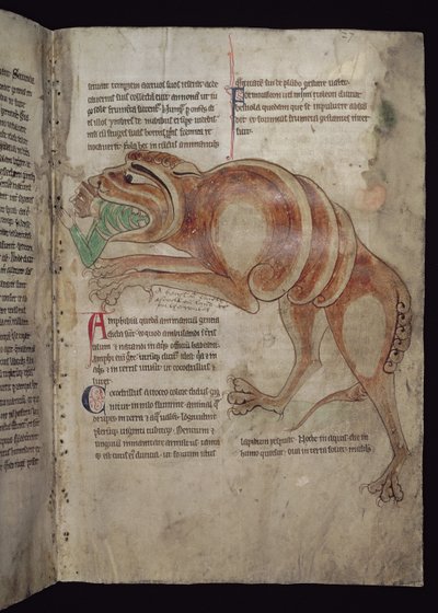 Ms.254 f.24 r एक व्यक्ति को कोलोड्रिलस निगलना द्वारा अंग्रेजी स्कूल