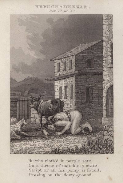 नबूकदनेस्सर, दानिय्येल VI, वर् 32 (उत्कीर्णन) द्वारा अंग्रेजी स्कूल