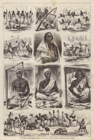 जर्मनी के ड्रेसडेन के जूलॉजिकल गार्डन में न्युबियन (उत्कीर्णन) द्वारा अंग्रेजी स्कूल