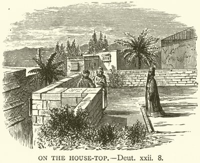 हाउस-टॉप पर, Deut, xxii, 8 (उत्कीर्णन) द्वारा अंग्रेजी स्कूल