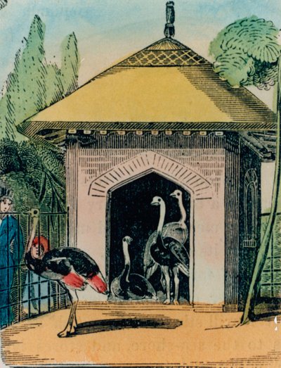 लंदन चिड़ियाघर में शुतुरमुर्ग और एमु घर। 1840 के दशक द्वारा अंग्रेजी स्कूल