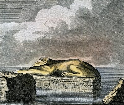  द्वारा अंग्रेजी स्कूल