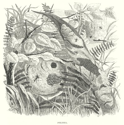  द्वारा अंग्रेजी स्कूल