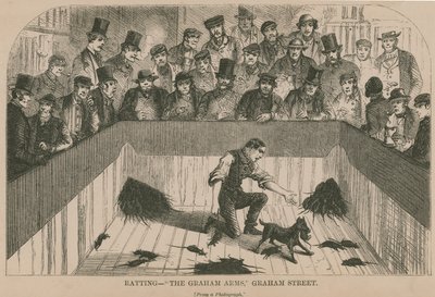  द्वारा अंग्रेजी स्कूल