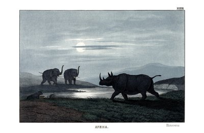  द्वारा अंग्रेजी स्कूल