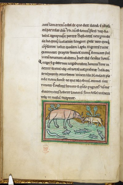 रॉयल 12 F.XIII, f.13v मछलियों से भरी एक धारा में एक बड़ा और एक छोटा हाथी। बेस्टियरी (ff. 3-141), लैपिडरी (ff. 141v-149) 13वीं सदी की दूसरी तिमाही द्वारा अंग्रेजी स्कूल