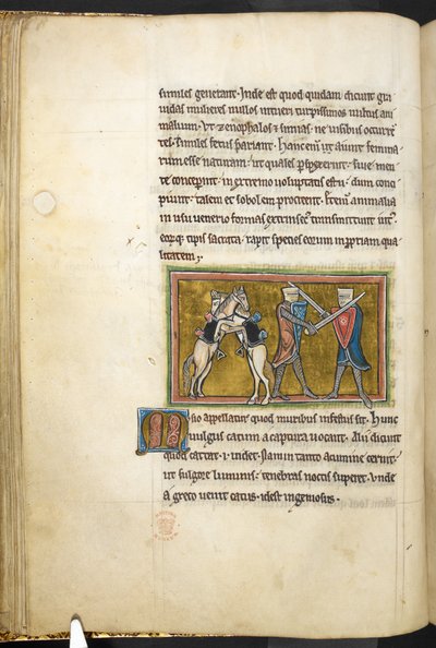 रॉयल 12 F.XIII, f.42v दो शूरवीर तलवारों के साथ पैदल लड़ रहे हैं, जबकि उनके घोड़े पिछले पैरों पर एक दूसरे से लड़ रहे हैं। , बेस्टियरी (ff. 3-141), लैपिडरी (ff. 141v-149) से, 13 वीं शताब्दी की दूसरी तिमाही (वेल्लम) द्वारा अंग्रेजी स्कूल