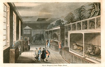  द्वारा अंग्रेजी स्कूल