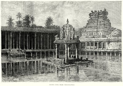  द्वारा अंग्रेजी स्कूल