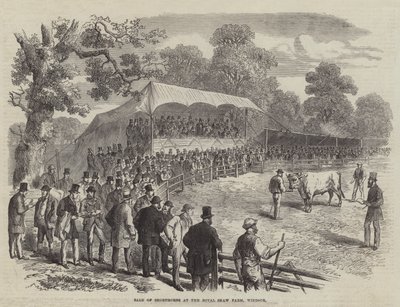 रॉयल शॉ फार्म, विंडसर में शोरथॉर्न की बिक्री (उत्कीर्णन) द्वारा अंग्रेजी स्कूल
