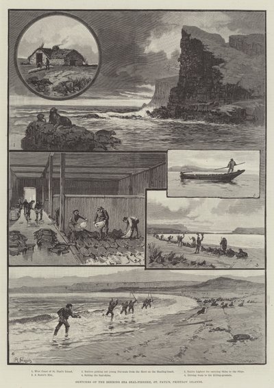 Behring Sea Seal-Fishery, St Paul ", Pribylov Islands के रेखाचित्र द्वारा अंग्रेजी स्कूल