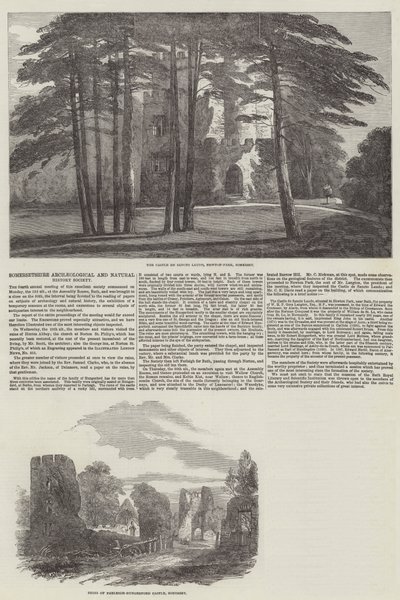 समरसेटशायर पुरातत्व और प्राकृतिक इतिहास सोसायटी (उत्कीर्णन) द्वारा अंग्रेजी स्कूल