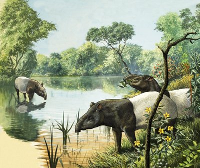  द्वारा अंग्रेजी स्कूल