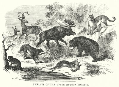 ऊपरी हडसन वन के किरायेदारों (उत्कीर्णन) द्वारा अंग्रेजी स्कूल
