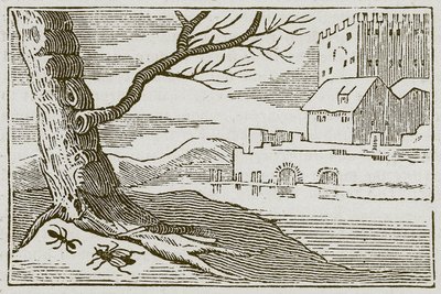  द्वारा अंग्रेजी स्कूल