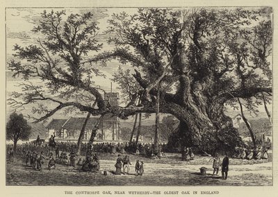 काउथोरपे ओक, वेदरबी के पास, इंग्लैंड में सबसे पुराना ओक (उत्कीर्णन) द्वारा अंग्रेजी स्कूल