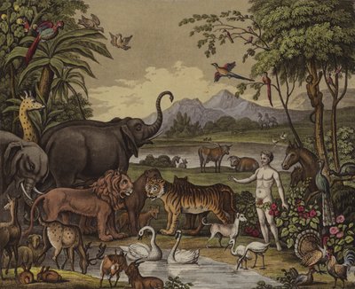 सृजन (रंगीन लिथो) द्वारा अंग्रेजी स्कूल