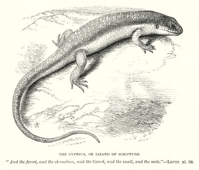  द्वारा अंग्रेजी स्कूल