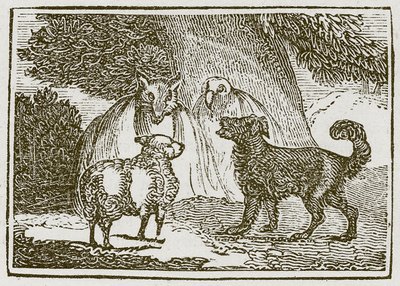  द्वारा अंग्रेजी स्कूल