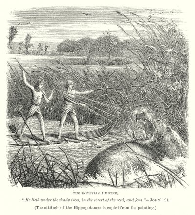  द्वारा अंग्रेजी स्कूल