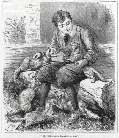  द्वारा अंग्रेजी स्कूल