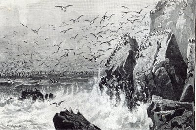 1888 के &39;आराम के घंटे&39; से गुंडों का अड्डा द्वारा अंग्रेजी स्कूल