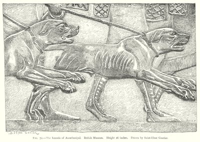  द्वारा अंग्रेजी स्कूल