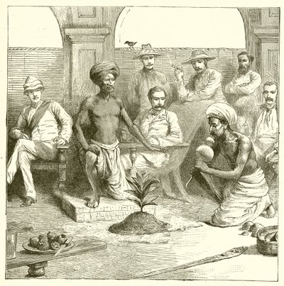 भारतीय पौधे की चाल द्वारा अंग्रेजी स्कूल