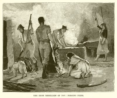 1848 का आयरिश विद्रोह: फोर्जिंग बाइक द्वारा अंग्रेजी स्कूल