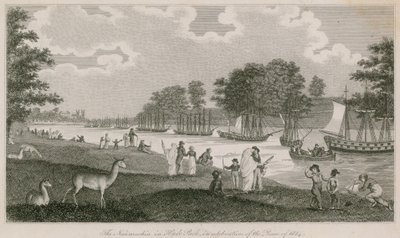 1814 की शांति के उपलक्ष्य में हाइड पार्क में नौमाचिया द्वारा अंग्रेजी स्कूल