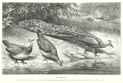  द्वारा अंग्रेजी स्कूल