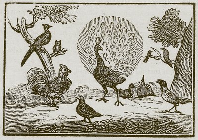  द्वारा अंग्रेजी स्कूल