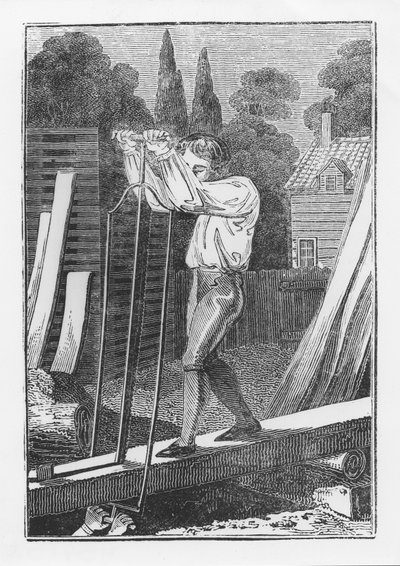 द सॉयर, द यंग ट्रेड्समैन या बुक ऑफ़ इंग्लिश ट्रेड्स से, 1839 द्वारा अंग्रेजी स्कूल