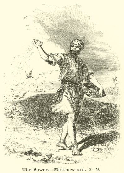 द सॉवर, मैथ्यू, xiii, 3, 9 द्वारा अंग्रेजी स्कूल