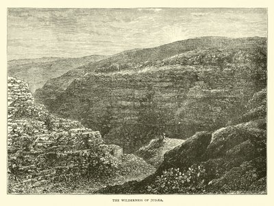 जुलाहे का जंगल द्वारा अंग्रेजी स्कूल