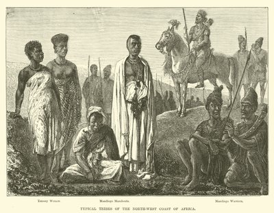 अफ्रीका के उत्तर-पश्चिमी तट की विशिष्ट जनजातियाँ द्वारा अंग्रेजी स्कूल