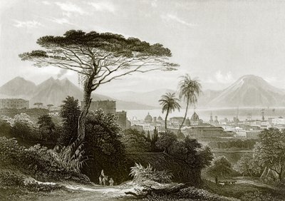 विसुवियस द्वारा अंग्रेजी स्कूल
