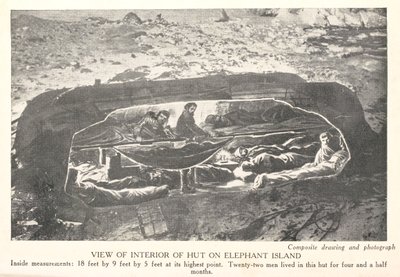 सर अर्नेस्ट शेकलटन द्वारा लिखित #39;साउथ: द स्टोरी ऑफ द 1914-1917 एक्सपीडिशन#39; से एलिफेंट आइलैंड पर झोपड़ी के अंदरूनी दृश्य द्वारा अंग्रेजी स्कूल