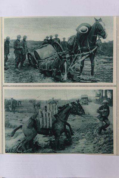 युद्ध के घोड़े कीचड़ में डूबते हैं, उत्तरी फ्रांस, अगस्त 1917 द्वारा अंग्रेजी स्कूल