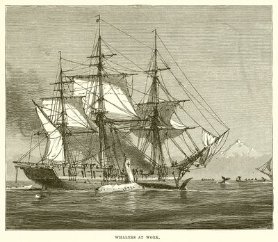 Whalers at Work द्वारा अंग्रेजी स्कूल