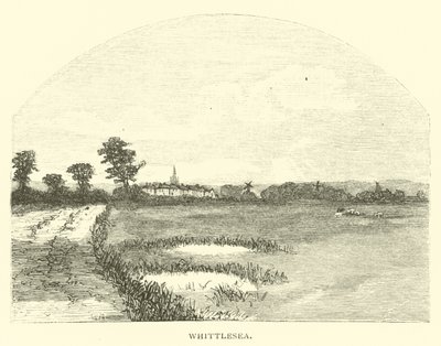 Whittlesea द्वारा अंग्रेजी स्कूल