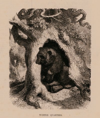  द्वारा अंग्रेजी स्कूल