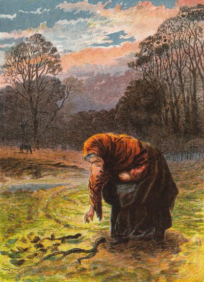  द्वारा अंग्रेजी स्कूल