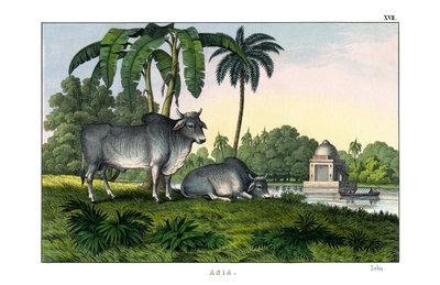  द्वारा अंग्रेजी स्कूल
